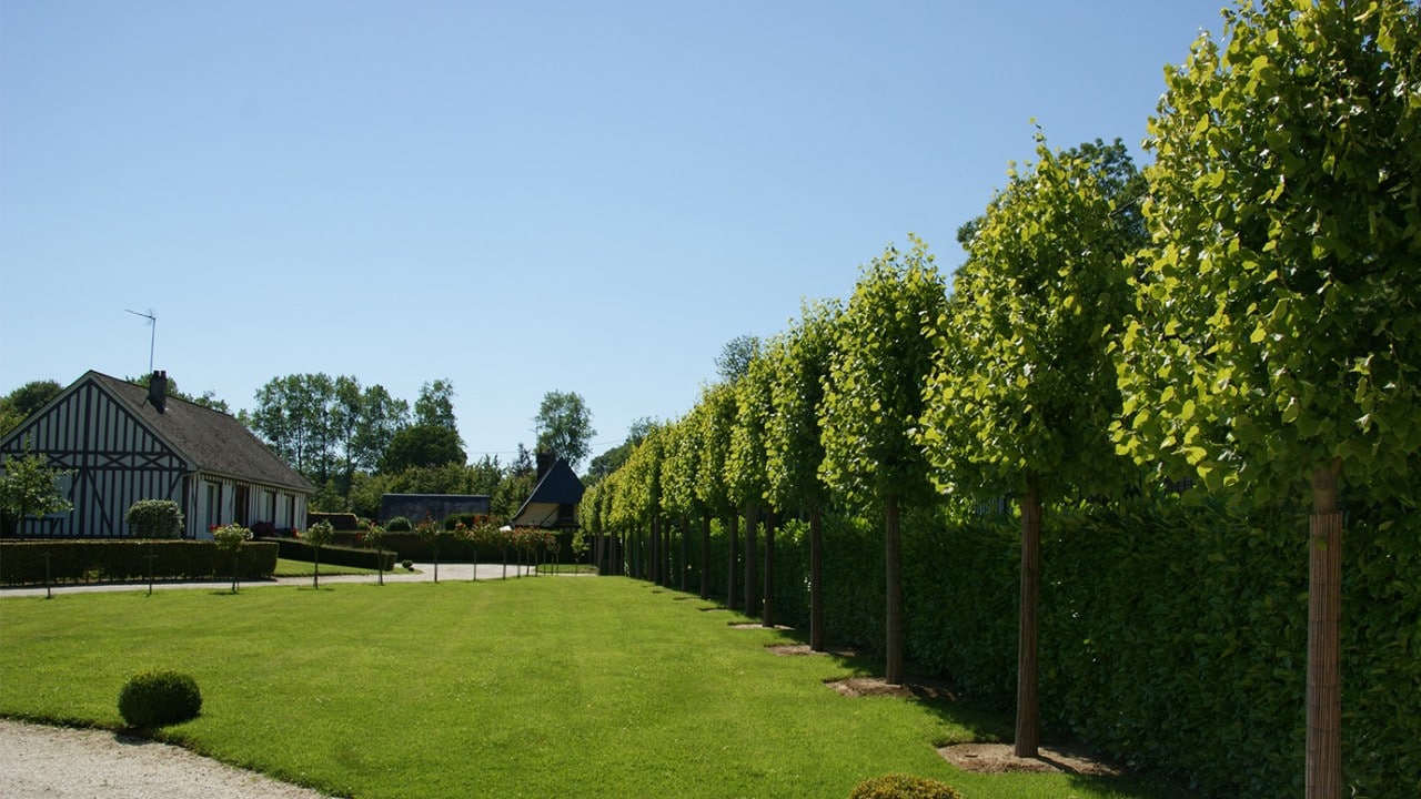 plantation d’arbre et élaboration de massifs, Jardin en Seine