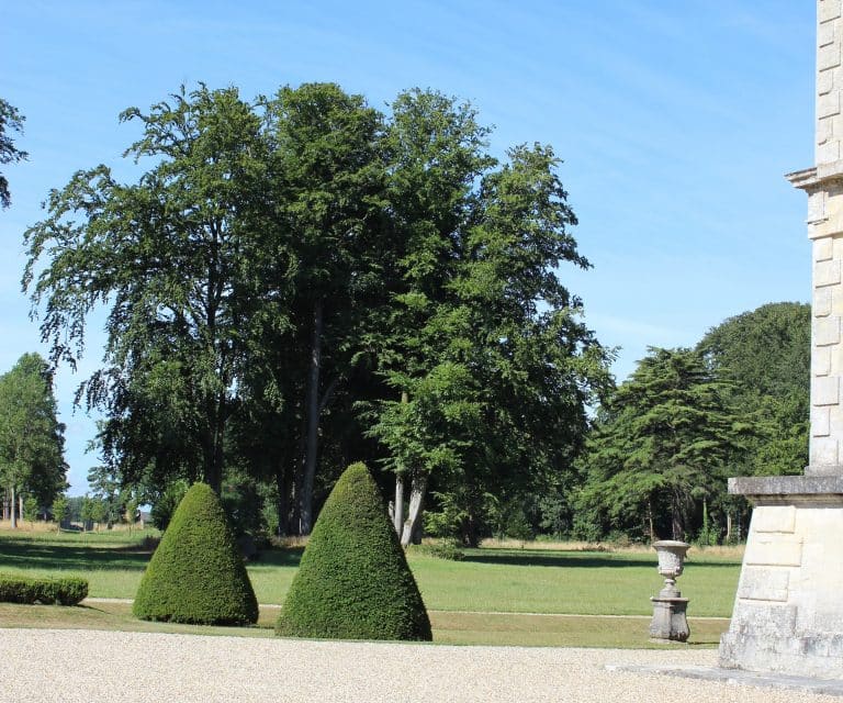 taille d'arbre en cône dans le parc d'un château